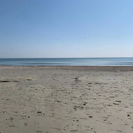 Blue Marin Mamaia Nord
