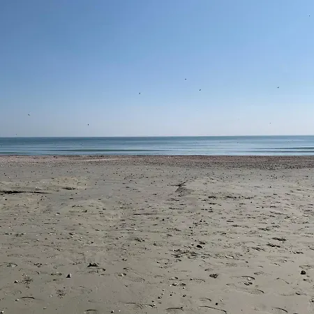Blue Marin Mamaia Nord